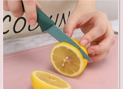 6-Piece Fruit Knive Set